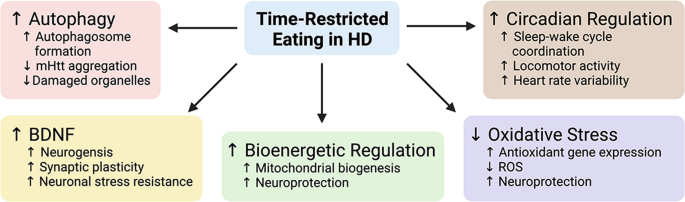 transcend igf 1 lr3 transcend igf 1 lr3 IGF-1 DES: Dosage, Benefits, and Comparison with IGF-1  LR3