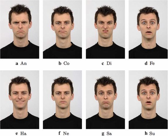 Facial hair may slow detection of happy facial expressions in the face in  the crowd paradigm