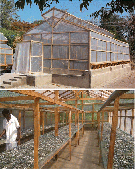 Gender differences in willingness to pay for capital-intensive agricultural  technologies: the case of fish solar tent dryers in Malawi | Agricultural  and Food Economics | Springer Nature Link