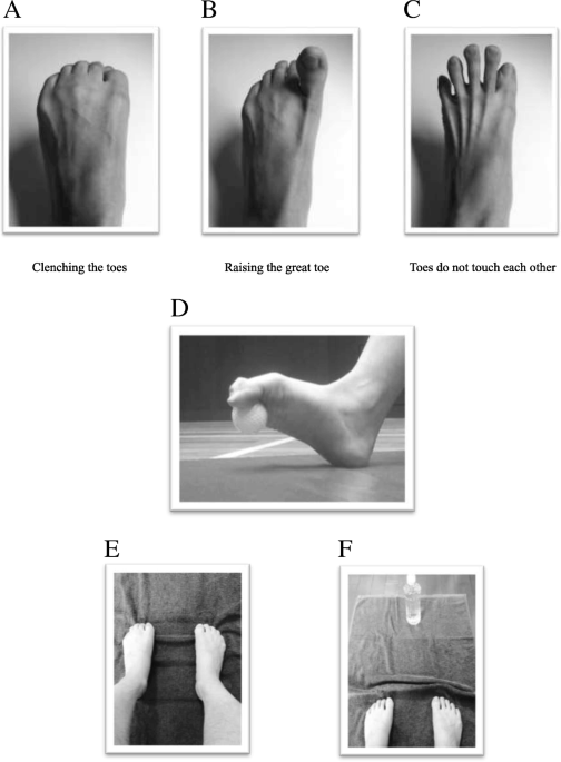 The effects of toe grip training on physical performance and cognitive  function of nursing home residents, Journal of Physiological Anthropology
