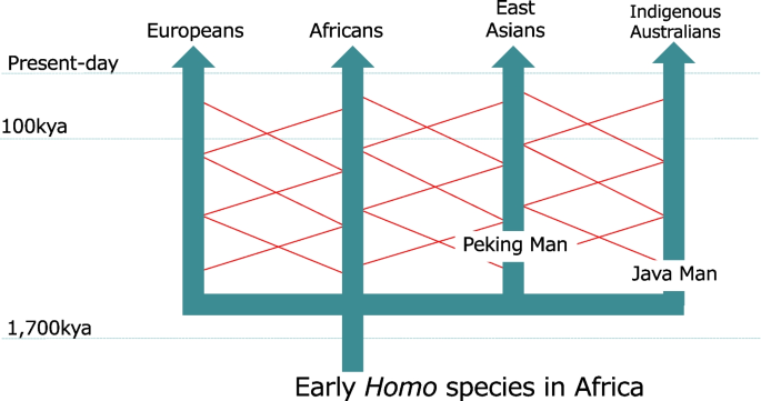 Human dispersal into East Eurasia: ancient genome insights and the need for  research on physiological adaptations | Journal of Physiological  Anthropology | Springer Nature Link