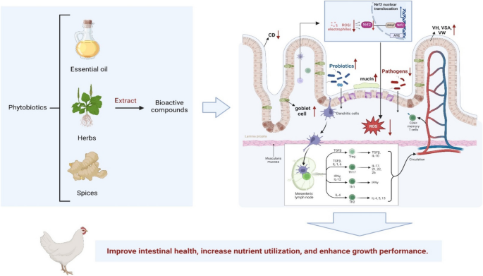 cfs and ipamorelin Research peptide drugs (e.g., CJC-1295, Ipamorelin, BPC-157) are the newest  trend in the fitness space, although they've been popular in the wellness  space for quite some time.  Despite their popularity, the