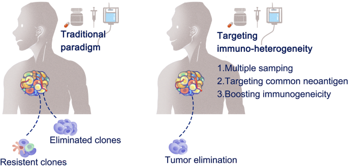 Cellular heterogeneity and immune microenvironment revealed by