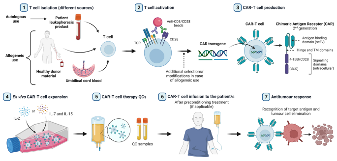 CAR T Cell Manufacturing Workflow: Isolation, Activation and