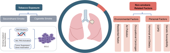 current tobacco non user cad cap copd pv dm Small cell lung cancer: emerging subtypes, signaling pathways, and  therapeutic vulnerabilities | Experimental Hematology & Oncology