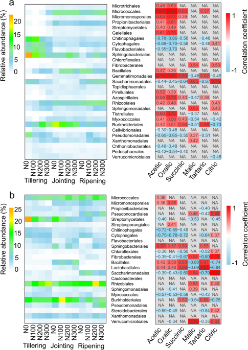 Frontiers  Mucilaginibacter sp. K Improves Growth and Induces