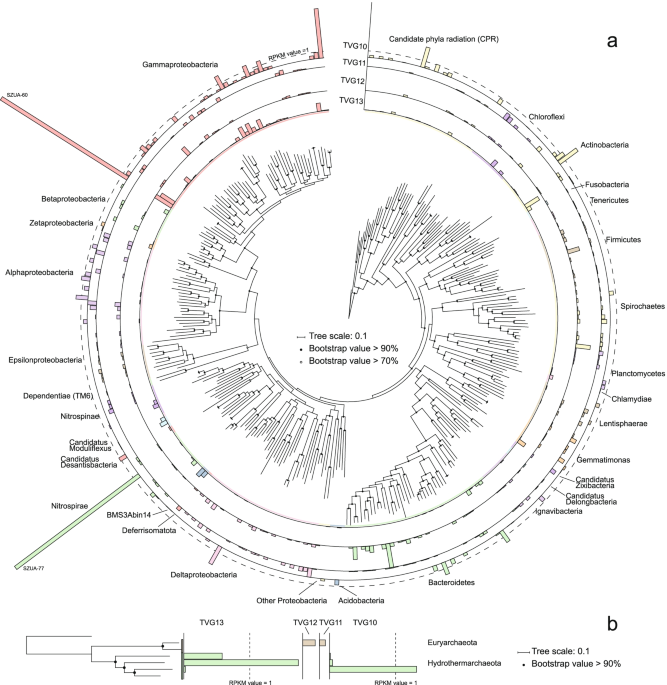 https://media.springernature.com/m685/springer-static/image/art%3A10.1186%2Fs40168-021-01202-x/MediaObjects/40168_2021_1202_Fig1_HTML.png