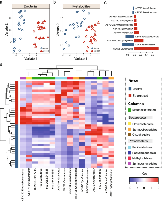 The dynamics and interactions between the skin metabolome