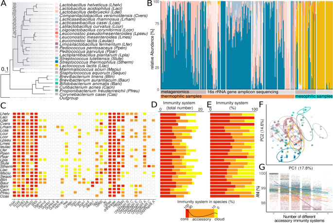 The defense island repertoire of the Escherichia coli pan-genome