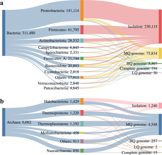 Unraveling the functional dark matter through global metagenomics