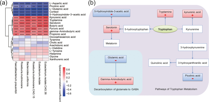 Positive mood-related gut microbiota in a long-term closed environment: a  multiomics study based on the “Lunar Palace 365” experiment, Microbiome