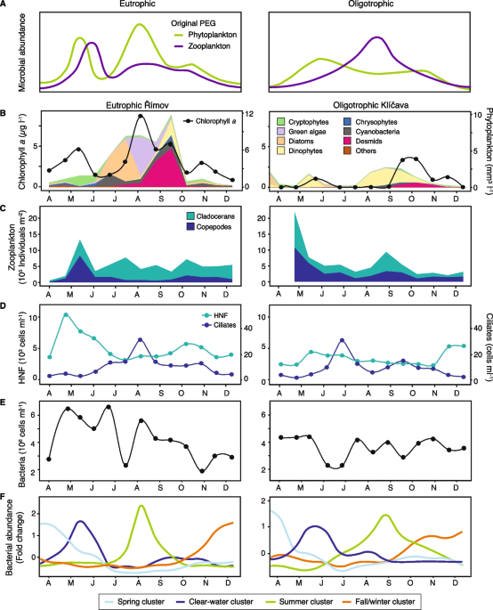PDF) Seasonal succession of zooplankton taxonomic group