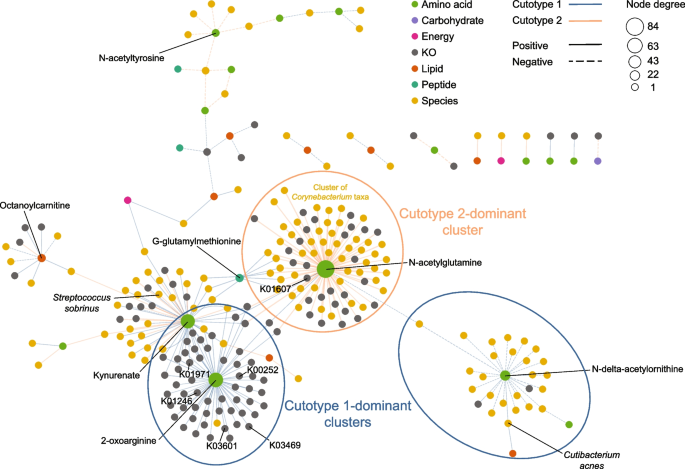 The dynamics and interactions between the skin metabolome, microbiome, and  UV exposure