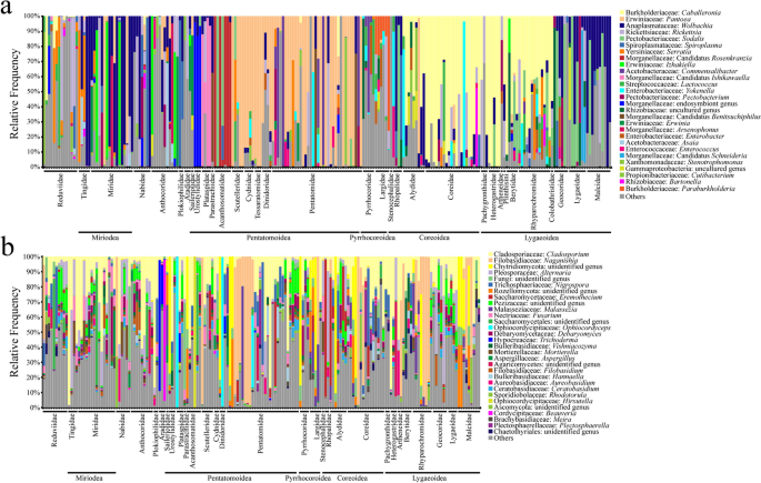 Symbioses shape feeding niches and diversification across insects