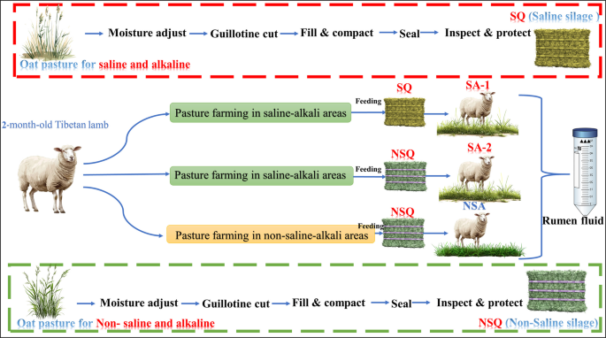does why sheep protein contain glutathione The effects of different silage types on rumen bacteria and metabolites in  Tibetan sheep | Microbiome
