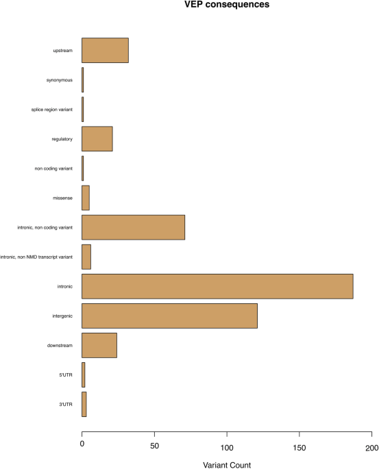 Polygenic heterogeneity in antidepressant treatment and placebo response