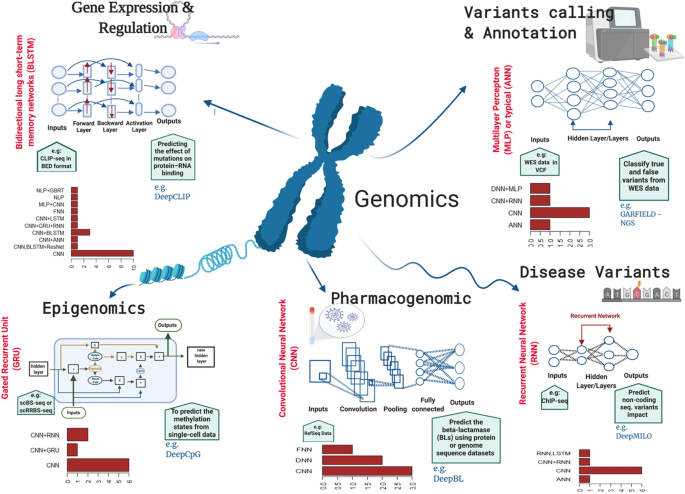 A review of deep learning applications in human genomics using  next-generation sequencing data | Human Genomics | Full Text