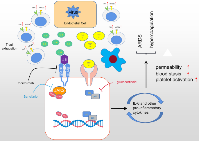 Experience With the Use of Baricitinib and Tocilizumab Monotherapy or  Combined, in Patients With Interstitial Pneumonia Secondary to Coronavirus  COVID19: A Real-World Study