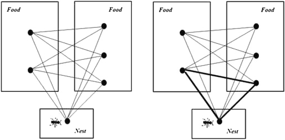 Professors Malacas and Canoy spearhead study on the concept of stable  locating-dominating sets in undirected graphs