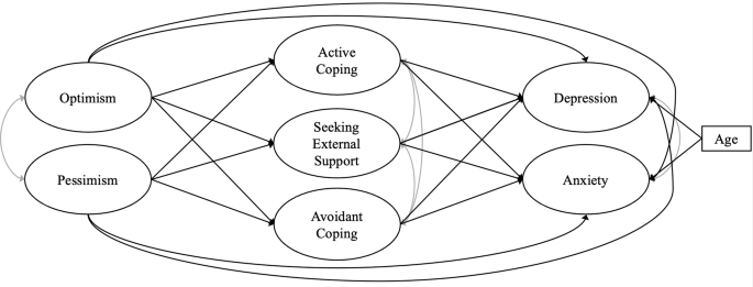 The interplay of coping styles and optimism/pessimism in shaping mental health in long-term survivors of malignant melanoma: a register-based cohort study