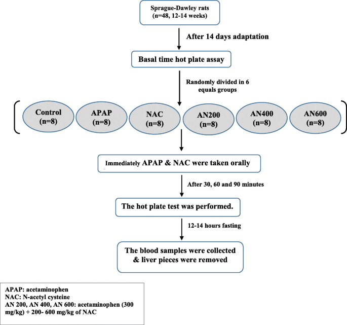 ipamorelin ghrp Buy Ipamorelin