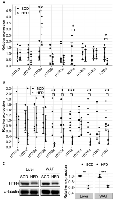 eagle biosciences semaglutide elisa sensitivity Enhancing Sensitivity: From Surface Engineering to Synthetic Biology Tirzepatide, a dual glucose‐dependent insulinotropic
