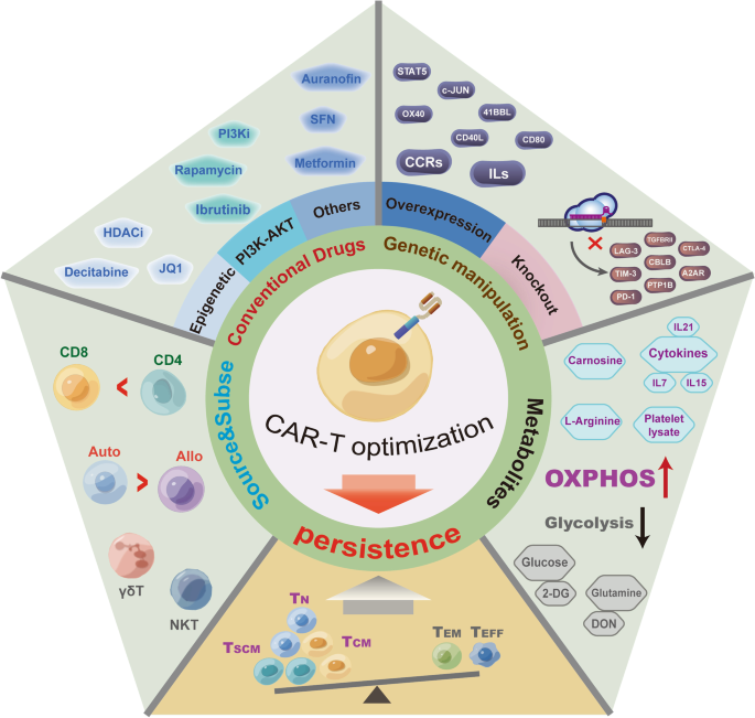 GPC2-CAR T cells tuned for low antigen density mediate potent