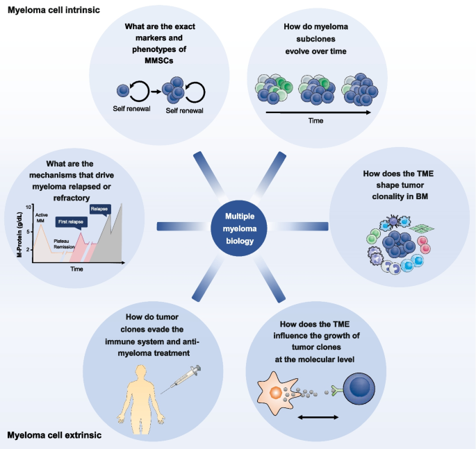 Full article: Epigenetic treatment of multiple myeloma mediates tumor  intrinsic and extrinsic immunomodulatory effects