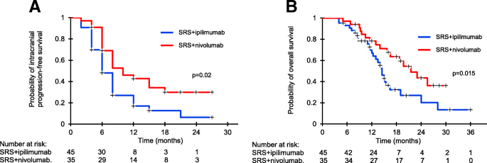 Combined Nivolumab and Ipilimumab in Melanoma Metastatic to the