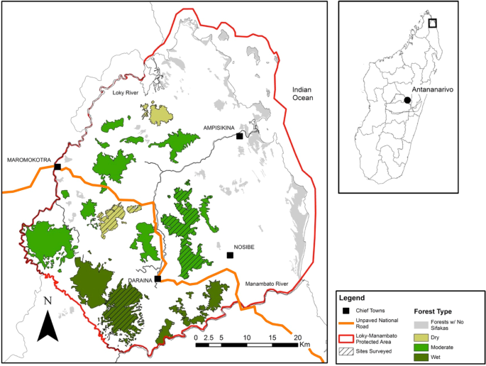 Factors influencing terrestriality in primates of the Americas and  Madagascar