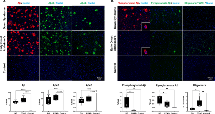 Comparative Hippocampal Proteome and Phosphoproteome in a Niemann