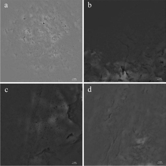 Identification of a source of nephrite from late Shang Yinxu by  multispectral imaging, Heritage Science