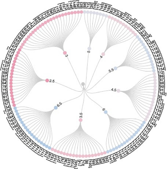 Spawn  Encyclopedia MDPI