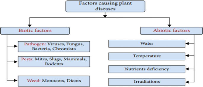 Plant disease detection and classification techniques: a comparative study  of the performances | Journal of Big Data | Springer Nature Link