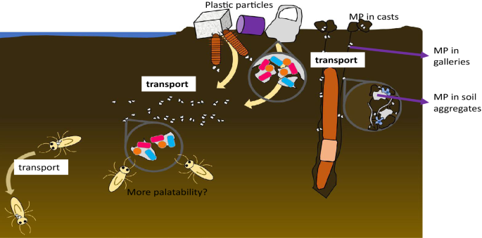 An Overlooked Entry Pathway of Microplastics into Agricultural