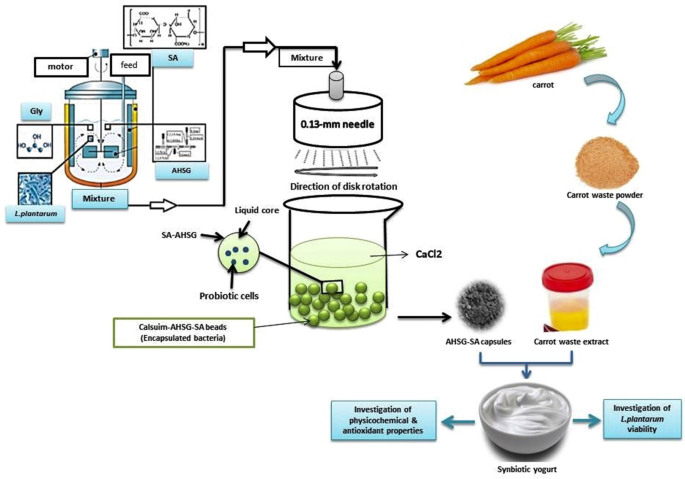 PDF) Functionalization of yogurts with Agaricus bisporus extracts