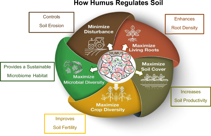 The essential role of humified organic matter in preserving soil health |  Chemical and Biological Technologies in Agriculture | Springer Nature Link