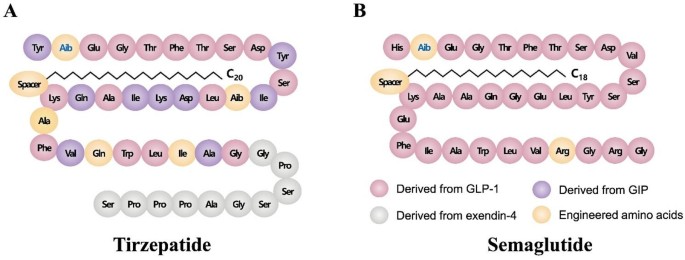 is exendin 4 in tirzepatide A sensitive LC-MS/MS method for tirzepatide in rat plasma with  comprehensive pharmacokinetic evaluation | Journal of Analytical Science  and Technology