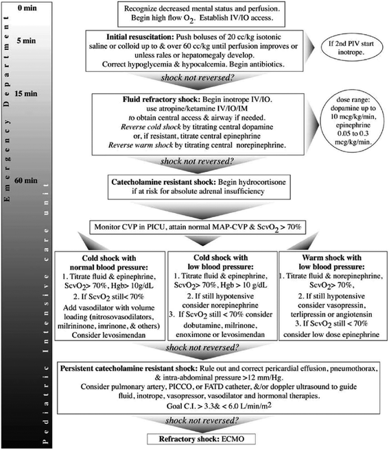 The epidemiology of sepsis in paediatric intensive care units in