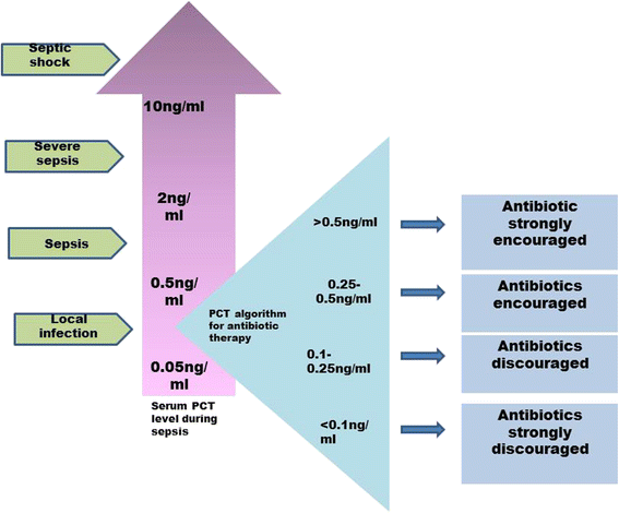 Antibiotic stewardship based on procalcitonin (PCT) cut-off ranges.