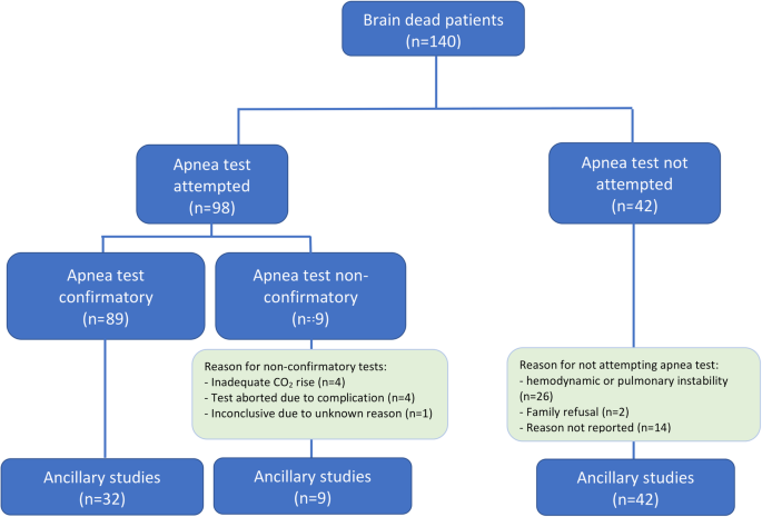 The effect of incorporating an arterial pH target during apnea test for  brain death determination, Journal of Intensive Care