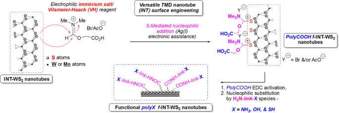 Shock-Absorbing and Failure Mechanisms of WS2 and MoS2 Nanoparticles with  Fullerene-like Structures under Shock Wave Pressure