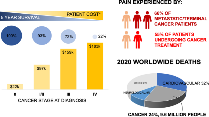 Survey of Clinical Translation of Cancer Nanomedicines—Lessons