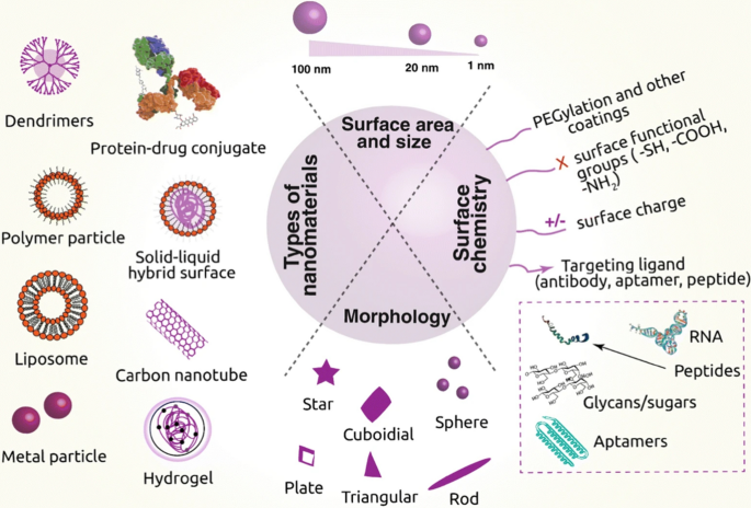 Cancer nanotechnology: current status and perspectives, Nano Convergence