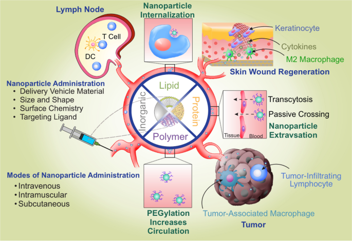 Surface-Functionalized Silica-Coated Calcium Phosphate Nanoparticles  Efficiently Deliver DNA-Based HIV-1 Trimeric Envelope Vaccines against  HIV-1