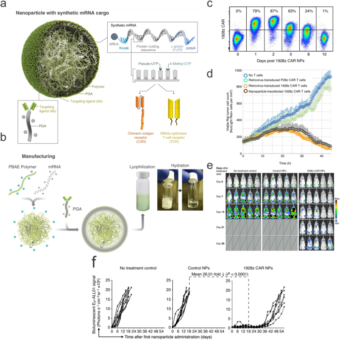 Surface-Functionalized Silica-Coated Calcium Phosphate Nanoparticles  Efficiently Deliver DNA-Based HIV-1 Trimeric Envelope Vaccines against  HIV-1