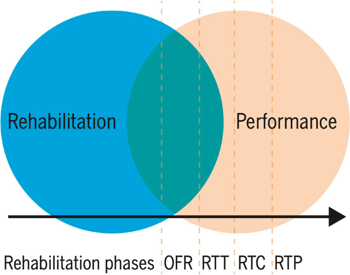 Frontiers  Exercise Intensity and Brain Plasticity: What's the Difference  of Brain Structural and Functional Plasticity Characteristics Between Elite  Aerobic and Anaerobic Athletes?