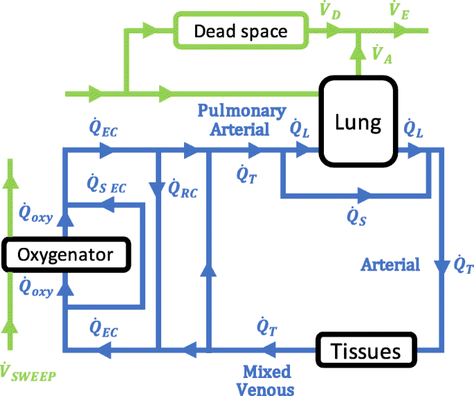 Schematic representation of Riley's threecompartment lung model