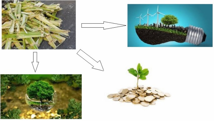 PDF) Brazil of Biofuels – sugarcane 2009. Impacts of crops on land,  environment and society