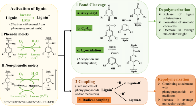 Kinetic and mechanistic insights into hydrogenolysis of lignin to